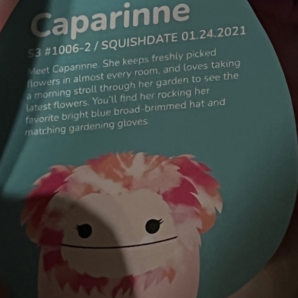 Squishmallow Pink Bigfoot Caparinne Clip 3.5” - Picture 3 of 5